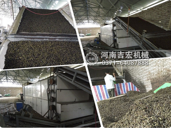 連翹烘干機_小型連翹烘干設備價格_大型連續式連翹烘干機廠家